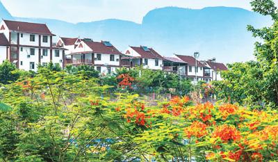 傣乡新安春色好(行天下)