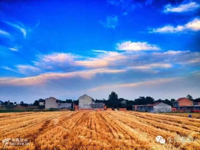 电影走进现实:还原陈忠实先生笔下的白鹿原