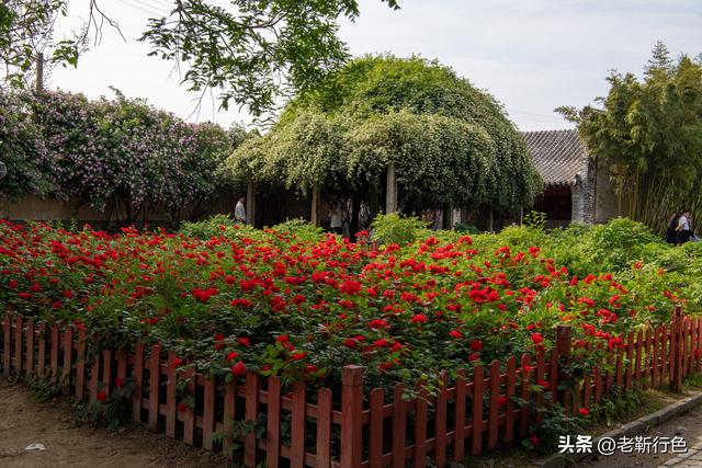 走进孔府与孟府，差距不是一般的大，难怪都喜欢当老大