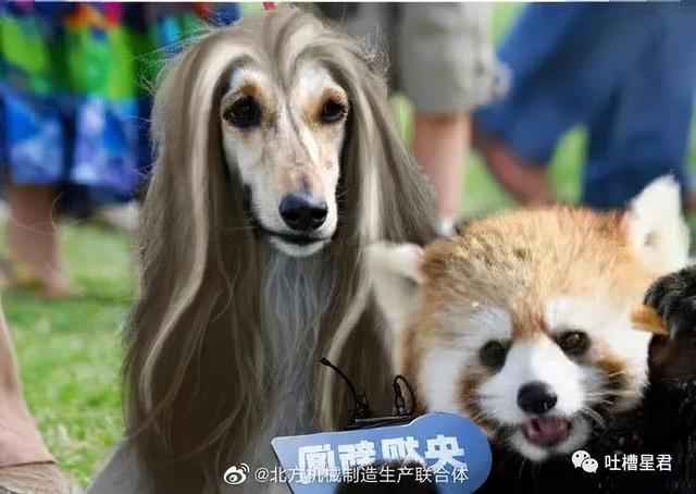 彭于晏隔离前后素颜照流出,粉丝疯了:哥哥根本配不上我