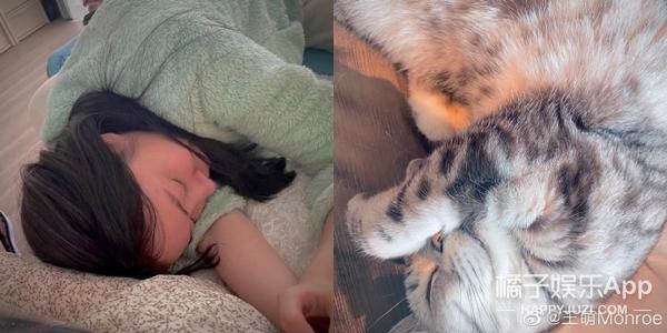 这不比霸总靠谱？王萌力挺陈露锤渣男晒真相，金靖出名不忘刘胜瑛