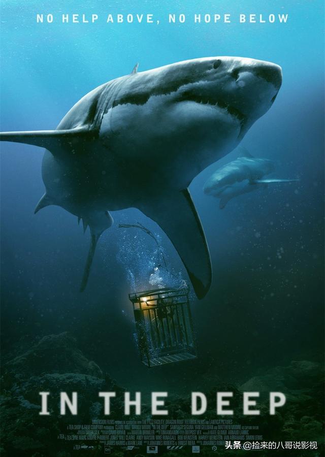 人类对鲨鱼的恐惧，都在这4部电影里了
