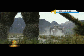 金刚和景甜抖森在玩啥？最全的金刚“前世今生”都在这里！