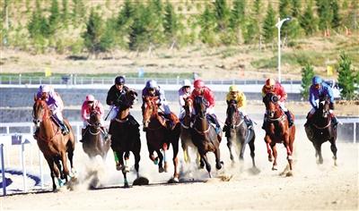 我在锡林郭勒等着你