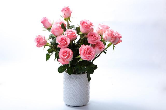 令人窒息的爱(下)