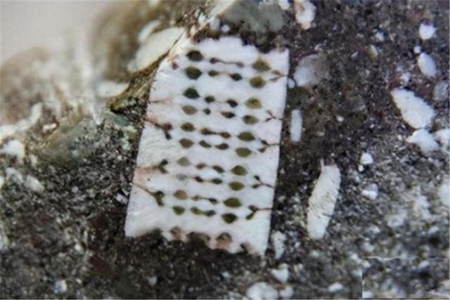 “中国制造”?太平洋中惊现奇异“黄砖路”!究竟是从哪儿来的?