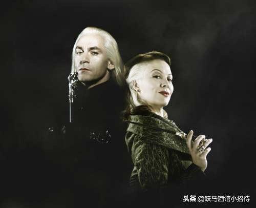 魔法界历史上最重要的谎言，纳西莎·马尔福为什么要欺骗伏地魔呢