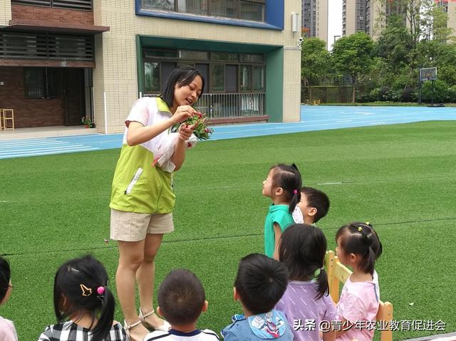 「萌芽行动」泊语湾伟才幼儿园---第9课