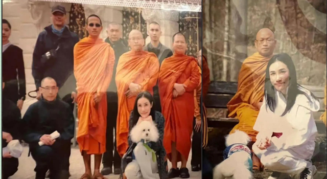 诗妮娜贵妃偷摸生子，有儿有女儿子七岁，生日放一家4口漫画示威