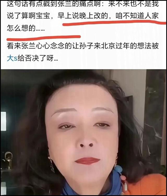 大S又变卦早上说晚上改，汪小菲飞弯弯看孩子，张兰说咱不操那心