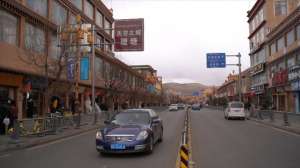 杜冬(被看见的丁真和等待被看见的理塘)