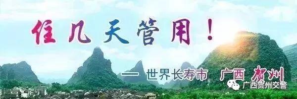 陈安武、毛林、潘渊、谢永寿……向先烈们致敬！