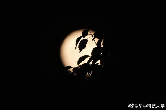 好圆!好大!好美