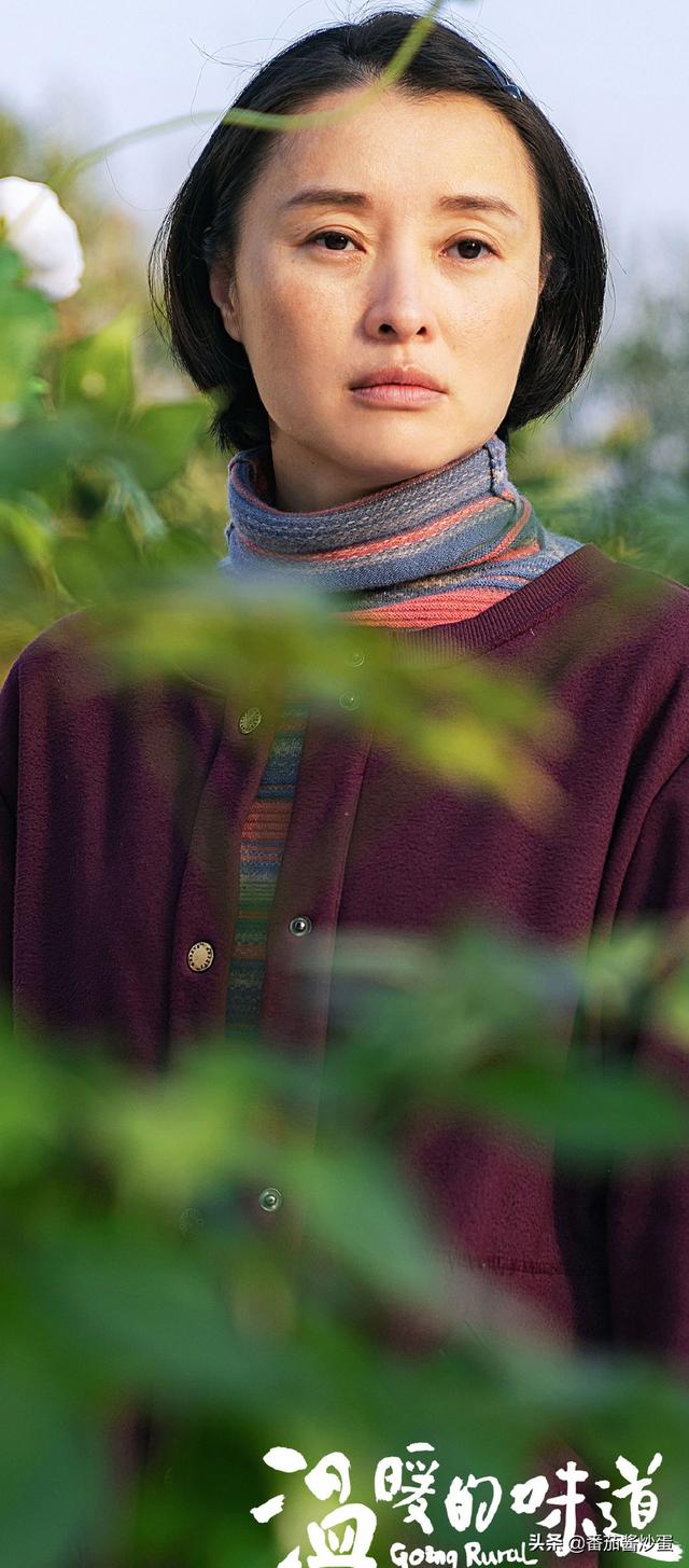 《温暖的味道》空降湖南卫视，央视剧下地方，网传《余生》被置换