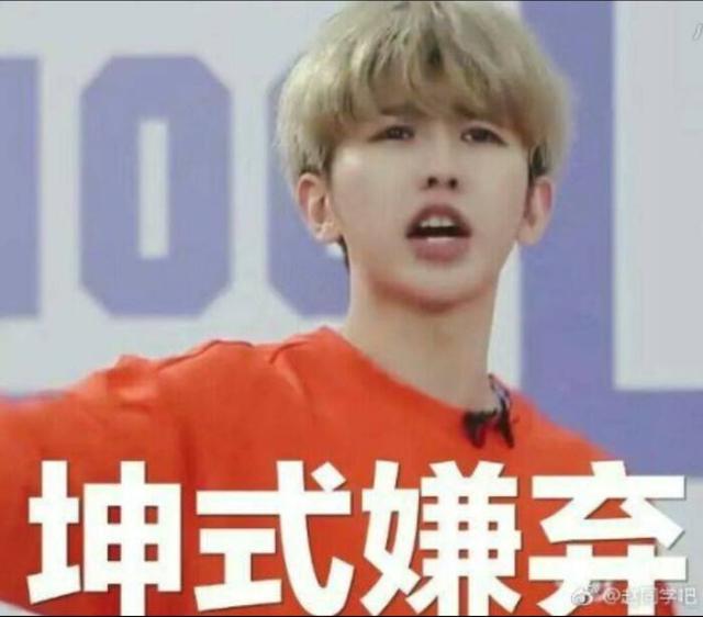 蔡徐坤到底是出道，还是出家