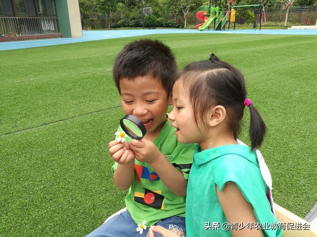 「萌芽行动」泊语湾伟才幼儿园---第9课