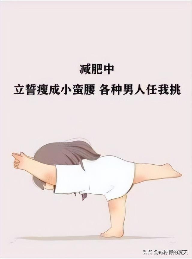 减肥路上踩过的坑,炸过的雷