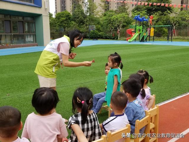 「萌芽行动」泊语湾伟才幼儿园---第9课