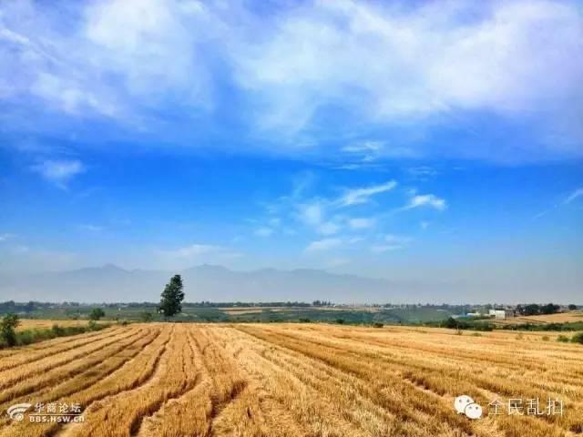 电影走进现实:还原陈忠实先生笔下的白鹿原