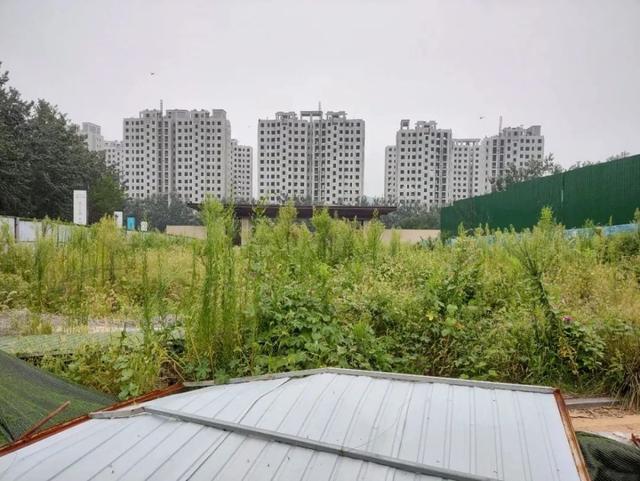 济南众美烂尾楼地块或将低价法拍？200多户2.5亿买房款瞬间无主