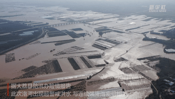 “涓涓细流”洛河为何成了“洪水猛兽”？答案在这里