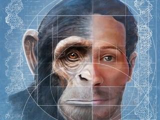 “人兽杂交”是何目的?苏联5名女性主动请缨,日本搞起胚胎试验