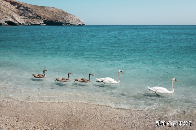 周杰伦新歌MV，除了音乐，让摄影师们沉醉的还有绚烂色彩