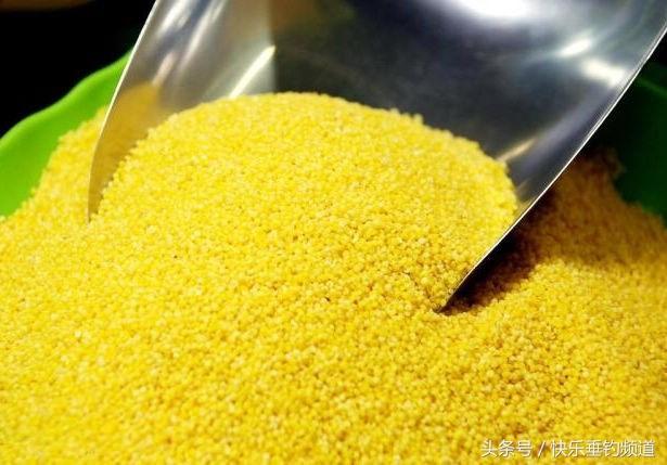 学会这四招，冬季肥水塘轻松应对！