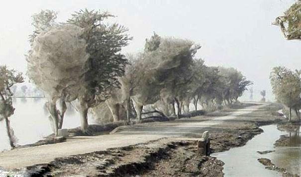 白色的彩虹，黑色的太阳，蓝色的熔岩，你绝对没见过，不信你看