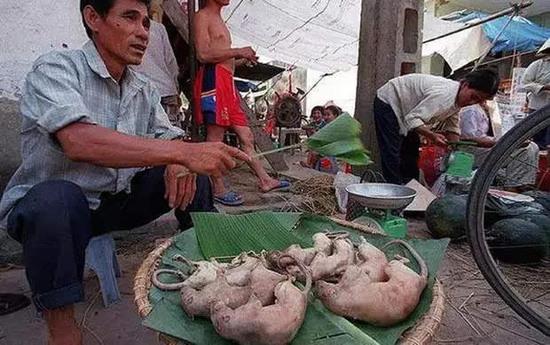 全球九大食物之最，有几个是你敢下手的？