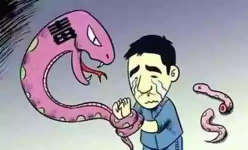 闺蜜团爆红网络，但是有种“闺蜜团”必须远离！