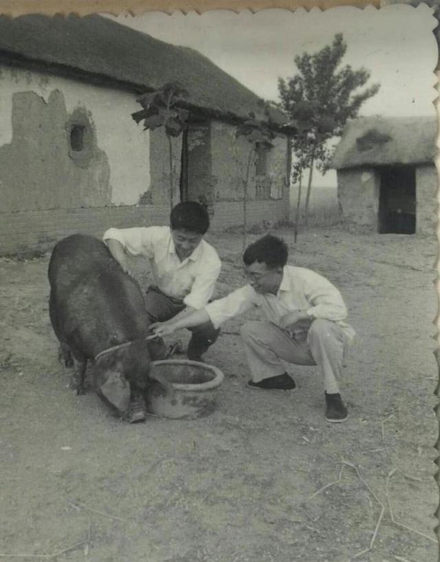 上海知青40年后重返乡村 这些老照片讲述他们怎样的青春