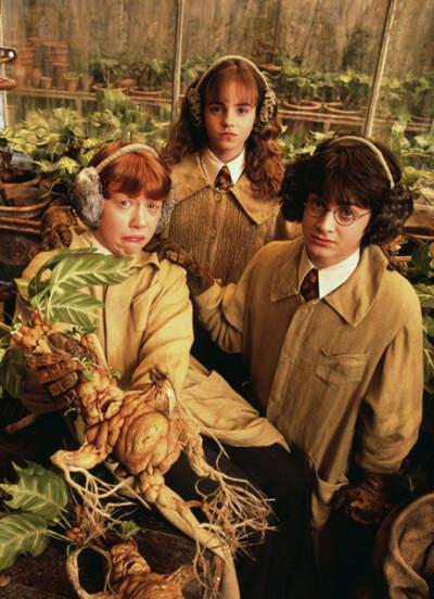 《哈利波特》感情篇:赫敏为什么会选择罗恩,而不是哈利?