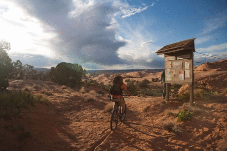 绝境荒野逃生电影12部