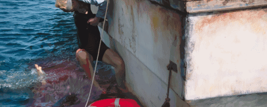 人类对鲨鱼的恐惧，都在这4部电影里了