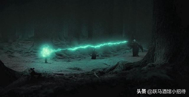 魔法界历史上最重要的谎言，纳西莎·马尔福为什么要欺骗伏地魔呢