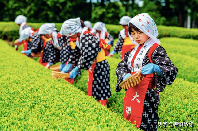 周杰伦新歌MV，除了音乐，让摄影师们沉醉的还有绚烂色彩