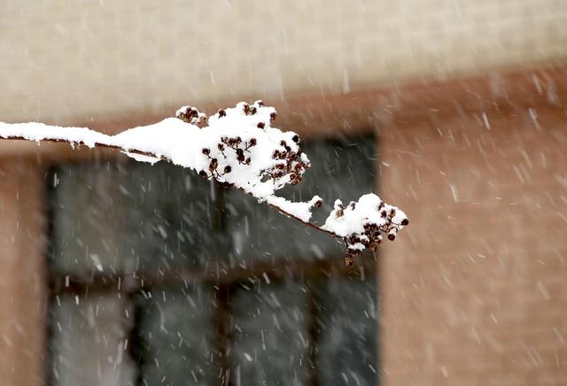 对方还没有放弃你，你会拒绝吗？