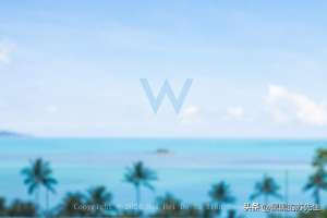 苏w(亲测周杰伦最爱的苏梅岛W酒店这份沉浸式度假攻略请查收)