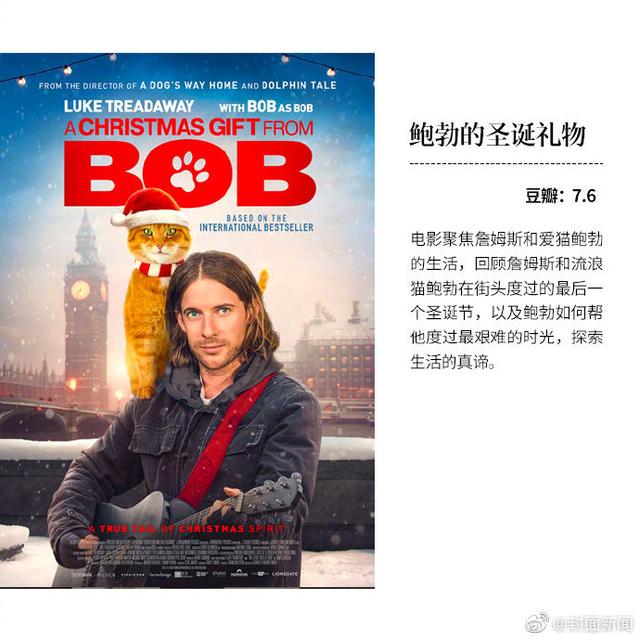 近期9部高分新片