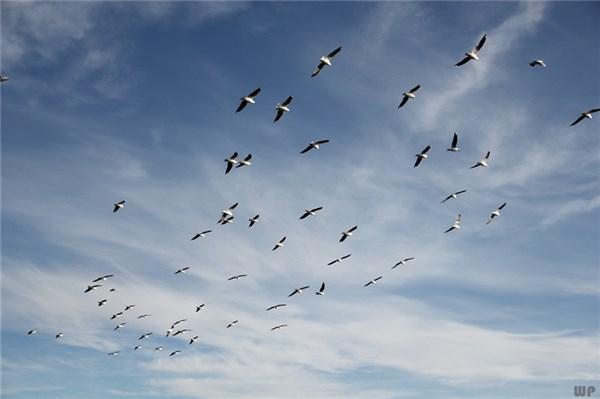 命好的人,往往都有这三个特征,希望你可以有