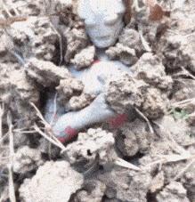 柳岩辽宁春晚小品《大腕来袭》中的护士装，演绎别样美丽