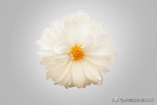 撒谎(短篇小说)