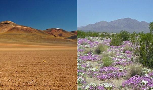 白色的彩虹，黑色的太阳，蓝色的熔岩，你绝对没见过，不信你看