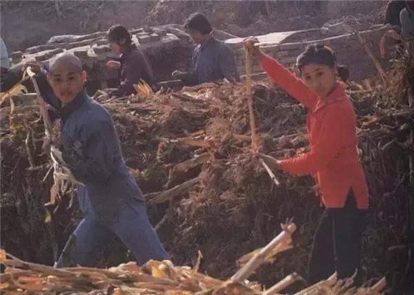 还记得《少林寺》钟情李连杰的牧羊女白无瑕吗?