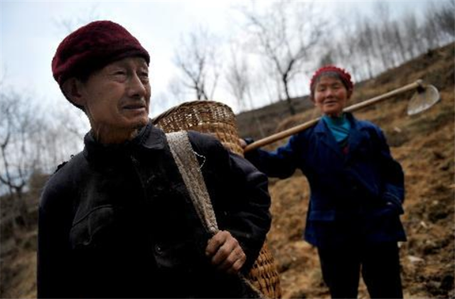 山东悍匪杨大山:作恶多端未曾落网,建国后凭秘洞消失人间