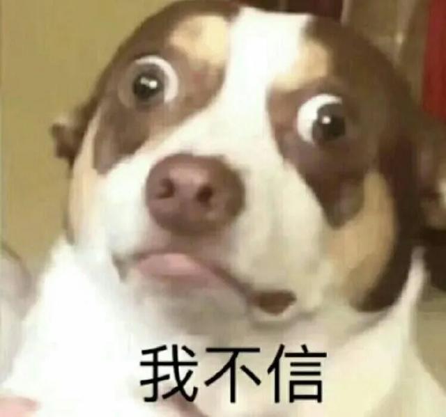 能看见的广播来了