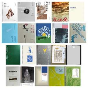 胡续冬(第二届南方诗歌奖：刘洁岷获诗人奖，已故诗人胡续冬获特别奖)