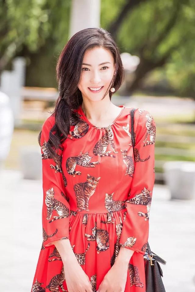 明星壁纸 张柏芝壁纸图片照片合集