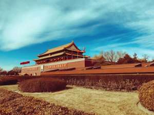 思婷(思婷讲实话：公信力大幅下降，有些人该反思，而不是让百姓背黑锅)